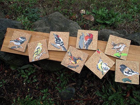 Fun with function: Puget Sound Birds on Coasters